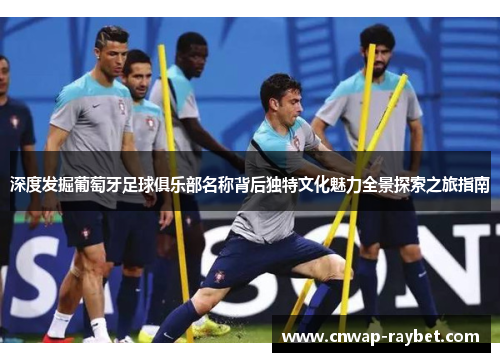 深度发掘葡萄牙足球俱乐部名称背后独特文化魅力全景探索之旅指南