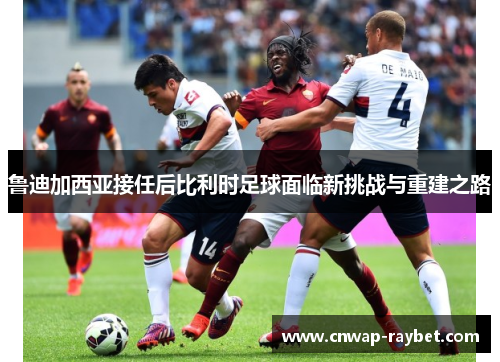 鲁迪加西亚接任后比利时足球面临新挑战与重建之路 鲁迪加西亚接任后比利时足球面临新挑战与重建之路